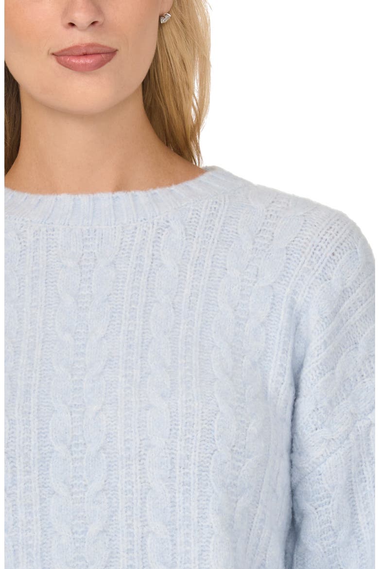 Cable Knit Raglan Sleeve Sweater, Alternate, color, ICE BLUE