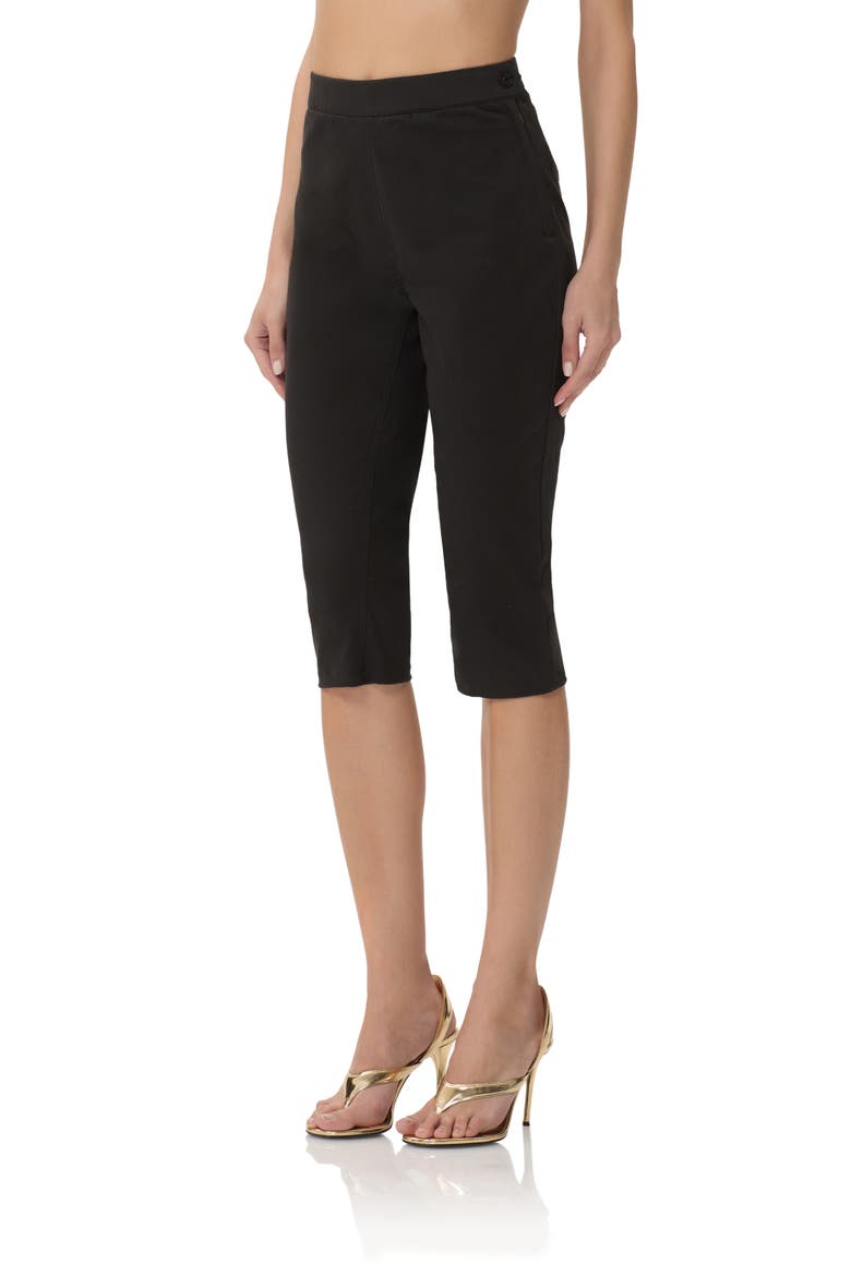 Calla Faux Leather Capri Pants, Alternate, color, NOIR