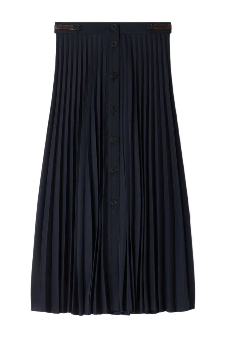 Long Pleated Skirt, Alternate, color, Navy blue