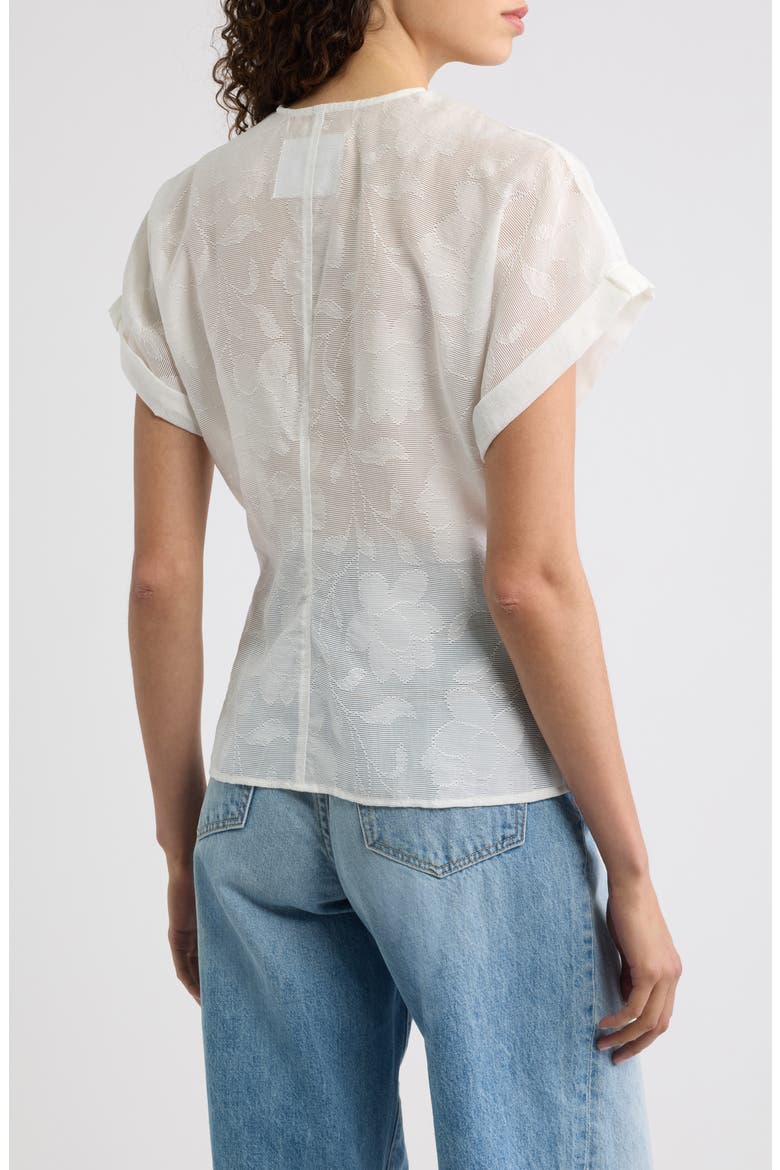 Sheer Floral Short Sleeve V-Neck Top, Alternate, color, SHEER ETCHED FLORAL