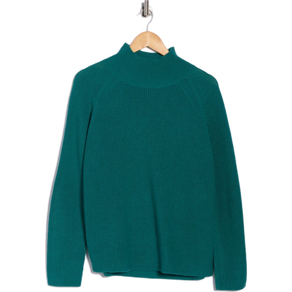 Eileen Fisher Raglan Sleeve Merino Wool Turtleneck Sweater In Blue
