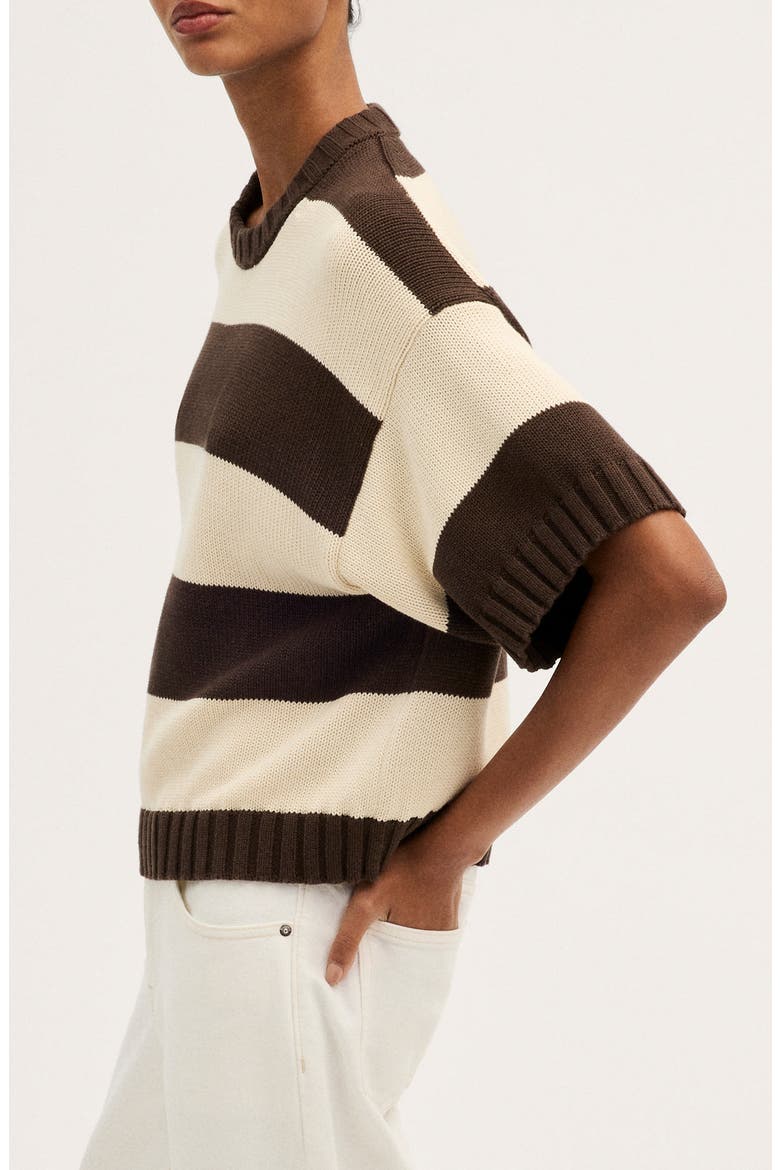 Relaxed Crewneck Cotton Sweater Tee, Alternate, color, DARK BROWN AND CANVAS STRIPE