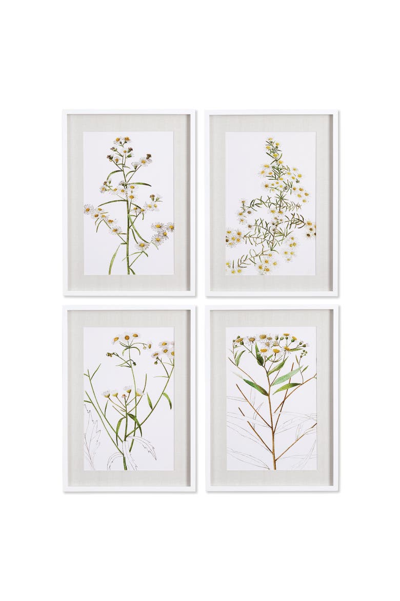 Daisy Prints Set of 4, Main, color, Yellow