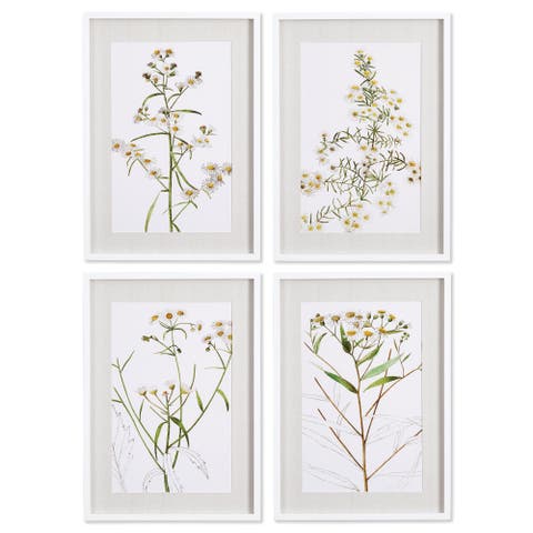 Daisy Prints Set of 4