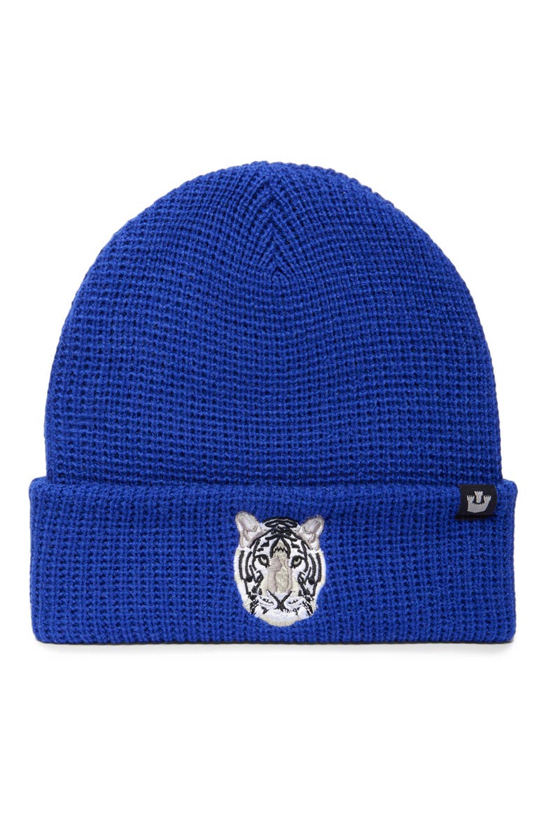 Ribbed Tiger Beanie, Main, color, BLUE
