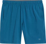 Free Fly Breeze Shorts