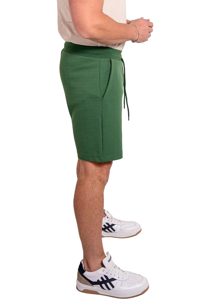 Acension 84 Drawstring Shorts, Alternate, color, GREEN