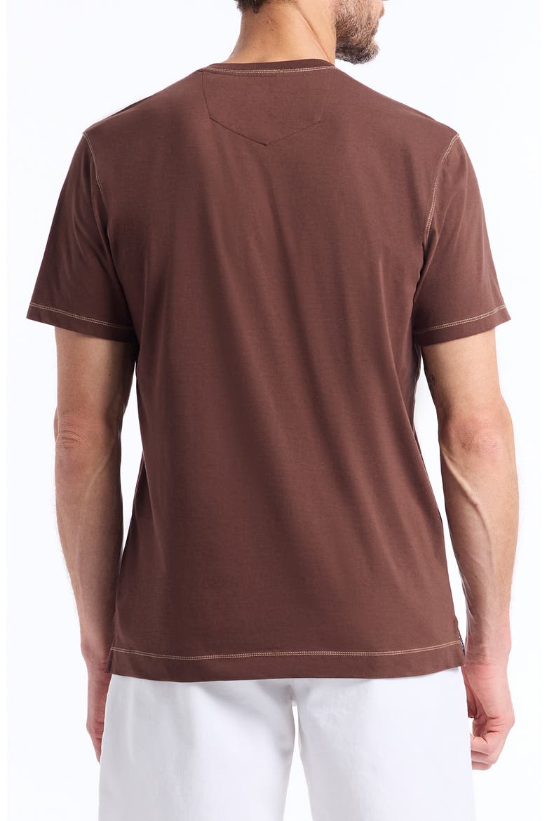 Damien V-Neck T-Shirt, Alternate, color, BROWN