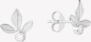 Rizen Jewelry Olive Leaf Stud Earring