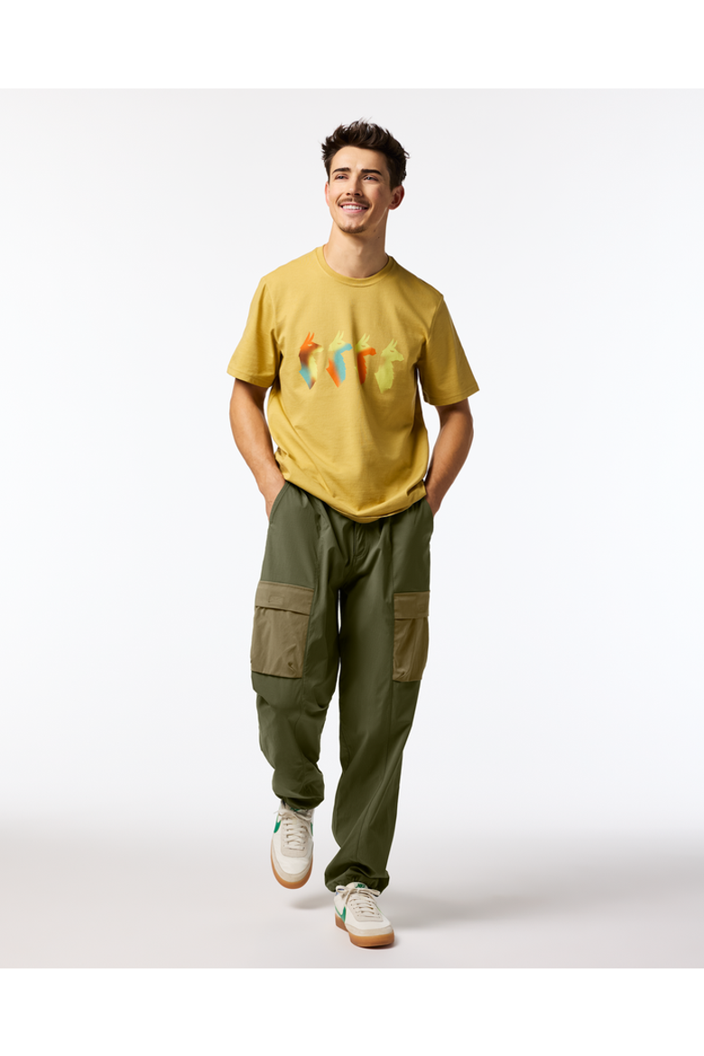 Coraje Tech Cargo Pant - Men's, Alternate, color, Fatigue