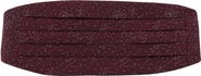 Trafalgar Mystere Metallic Star Light Cummerbund