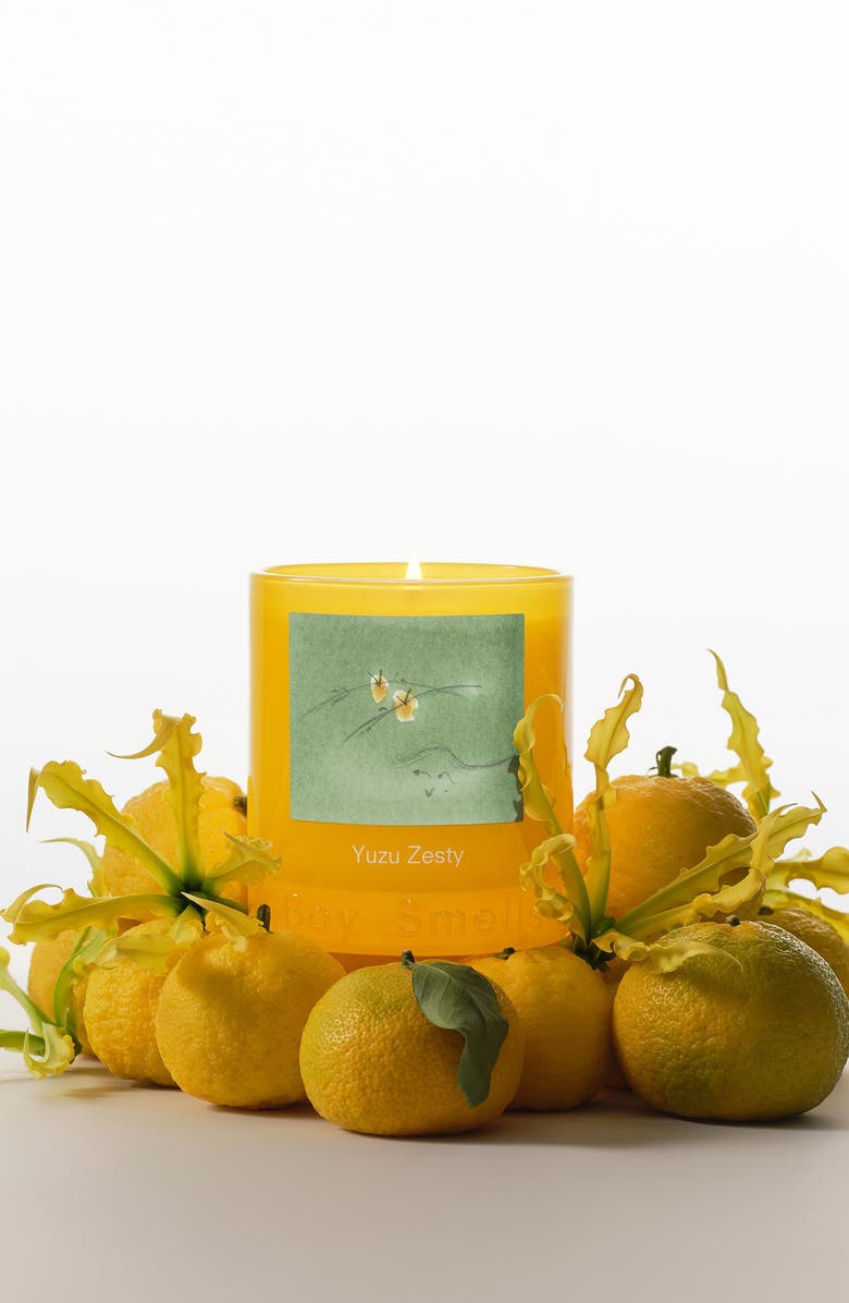 Boy Smells Yuzu Zesty Candle, Alternate, color, 