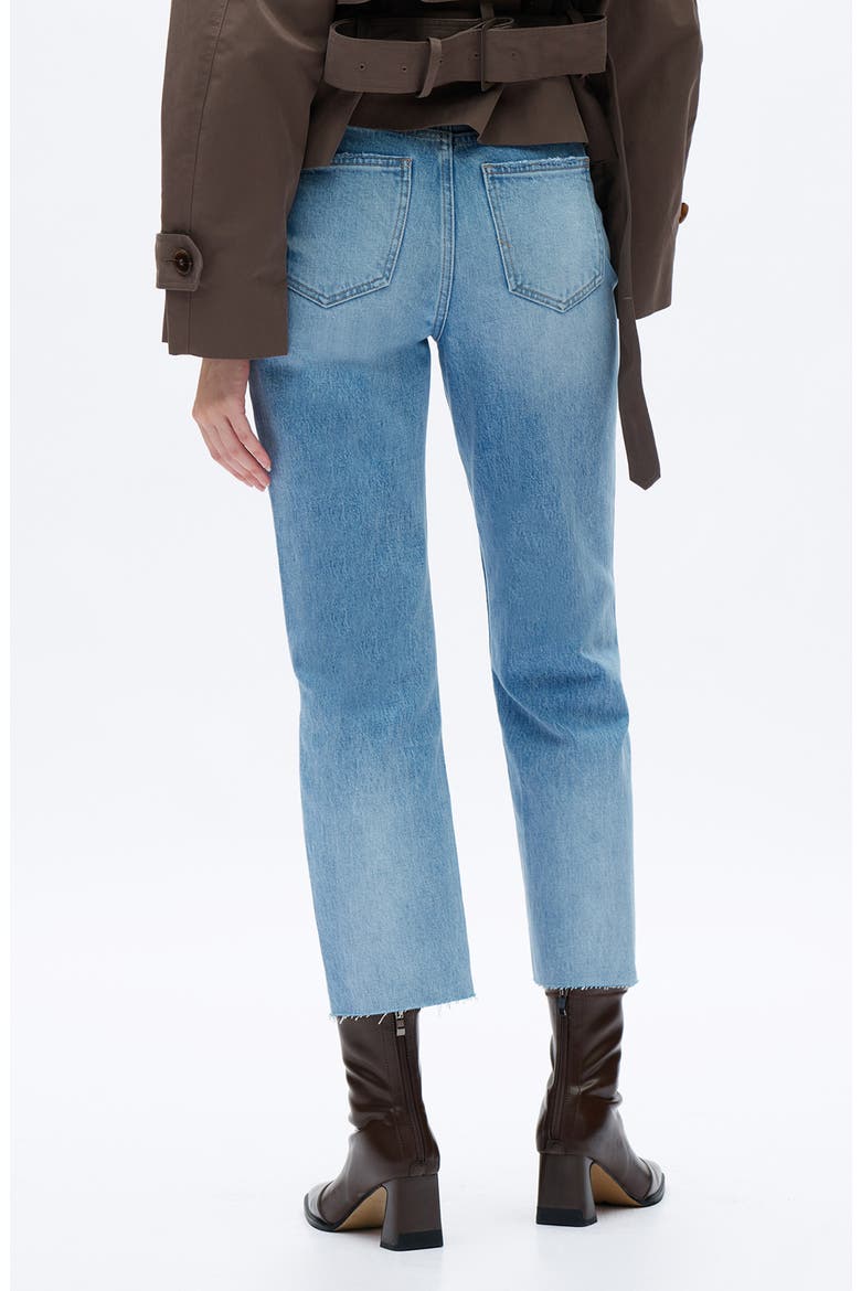 High Waist Raw Hem Ankle Straight Leg Jeans, Alternate, color, MEDIUM BLUE