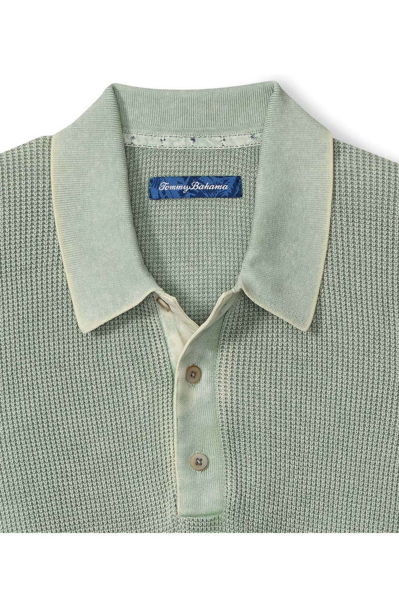 Tommy Bahama Playa Blanca Cotton Blend Polo Sweater, Alternate, color, Breeze