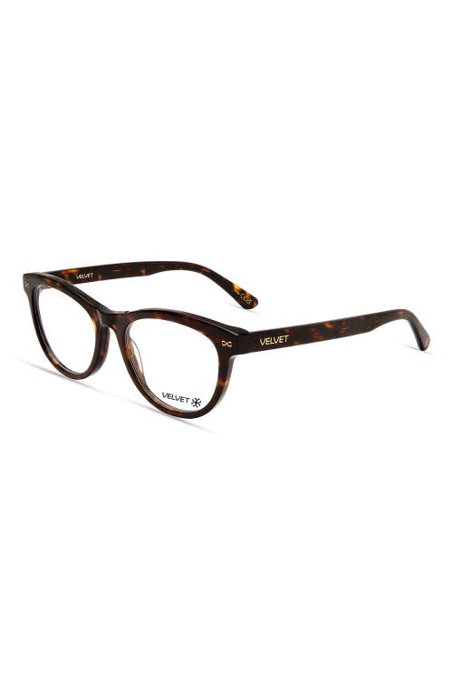 Velvet Eyewear Carol 55mm Oval Optical Glasses In Tortoise