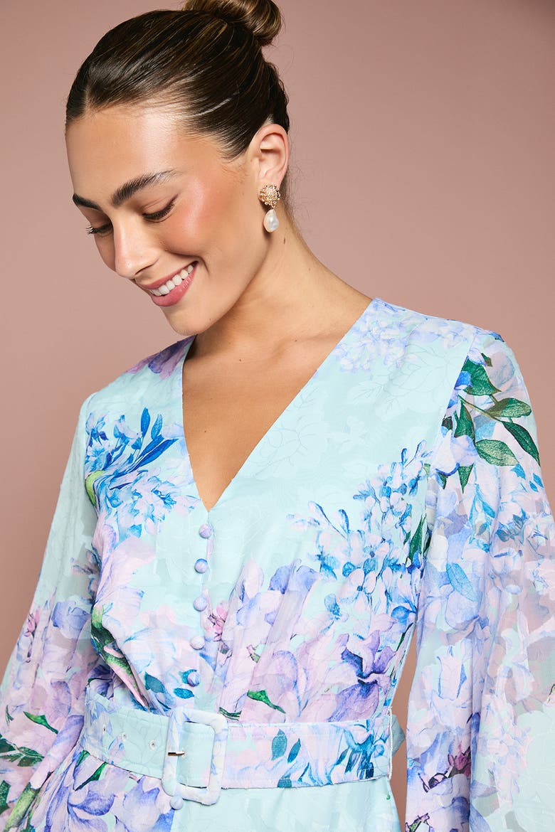 Long Sleeve Chiffon Belted Maxi Dress, Alternate, color, Blue
