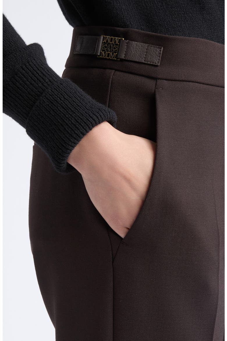 Macino Stretch Wool Trousers, Alternate, color, DARK BROWN