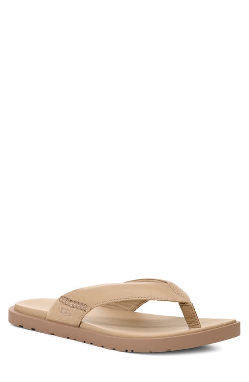 Ugg(r) Seaside Ii Flip Flop In Mustard Seed