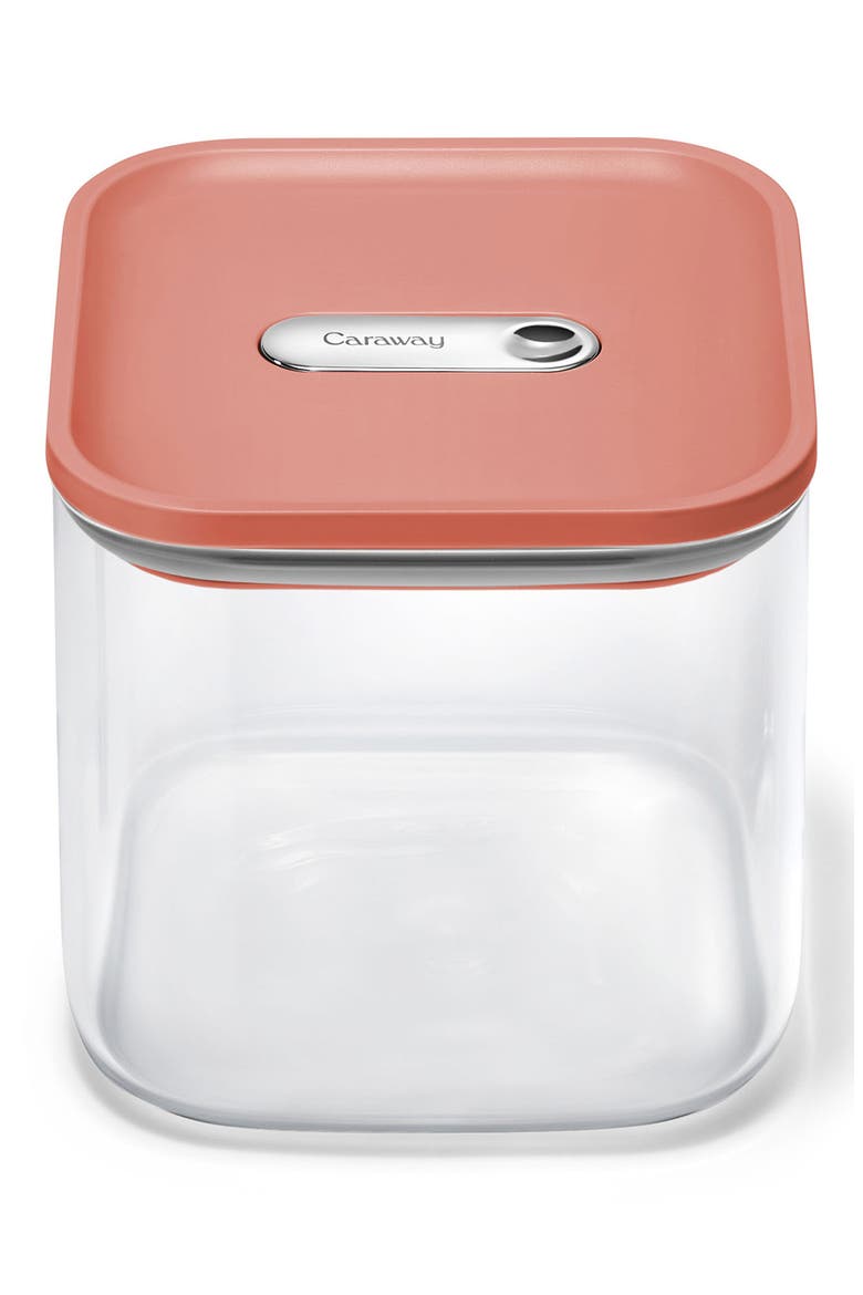 Medium 2.5-Quart Airtight Storage Container, Main, color, PERRACOTTA