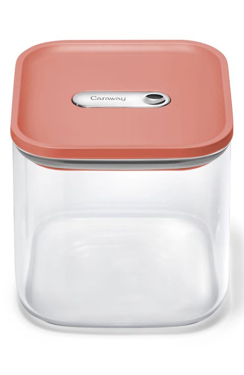 Medium 2.5-Quart Airtight Storage Container