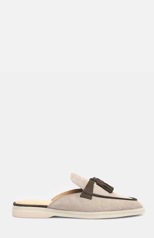 Shop Scarosso Lucrezia Mules