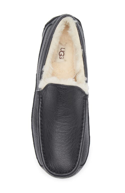 Ugg(r) Ascot Slipper In Black