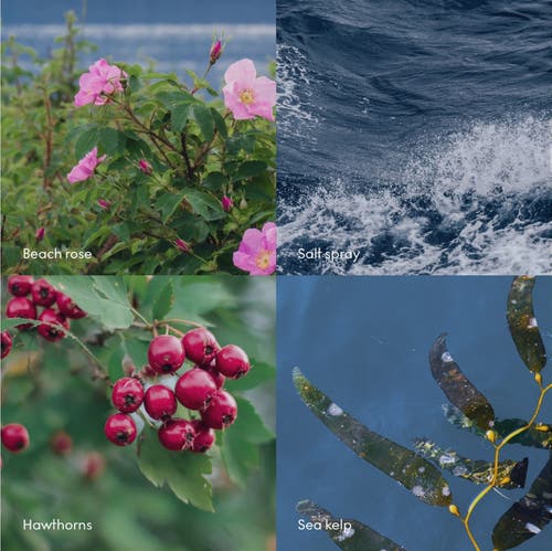 Skandinavisk Hav Scent Diffuser 100ml In Blue