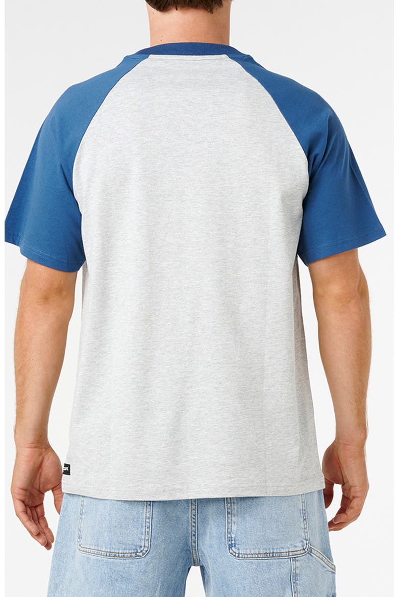 Classic Colorblock Raglan Sleeve Cotton T-Shirt, Alternate, color, GREY MARLE