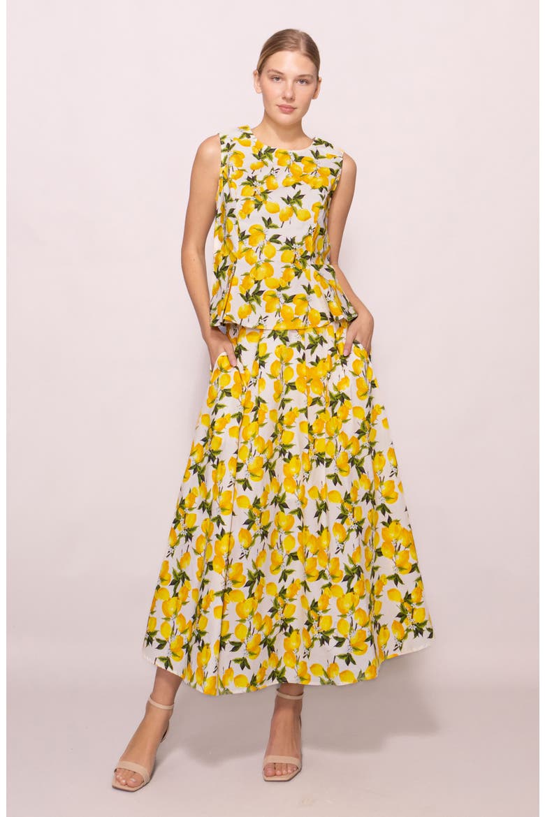 Lemon Poplin A-Line Maxi Skirt, Alternate, color, LEMON PRINT