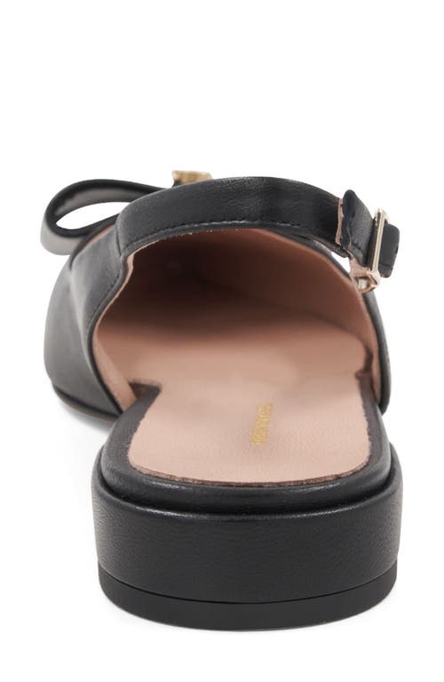 Bruno Magli Bella Pointed Toe Slingback Flat In Black