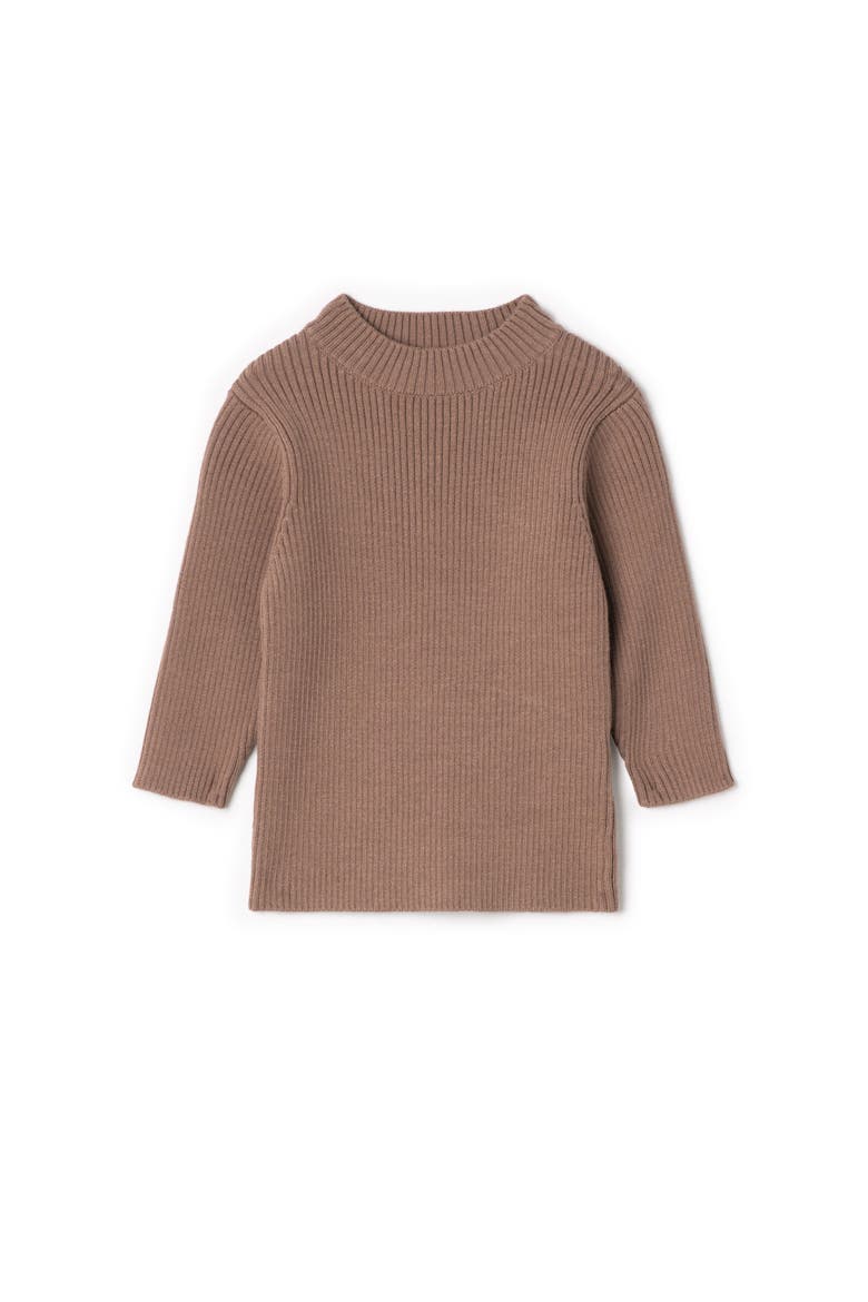 Boys Ribbed Mock Neck Knit Top, Alternate, color, Taupe