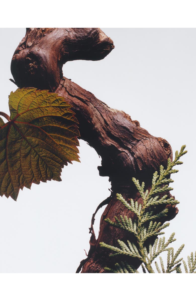 Jo Malone London<sup>™</sup> Cypress & Grapevine Men's Fragrance Set $290 Value, Alternate, color, 