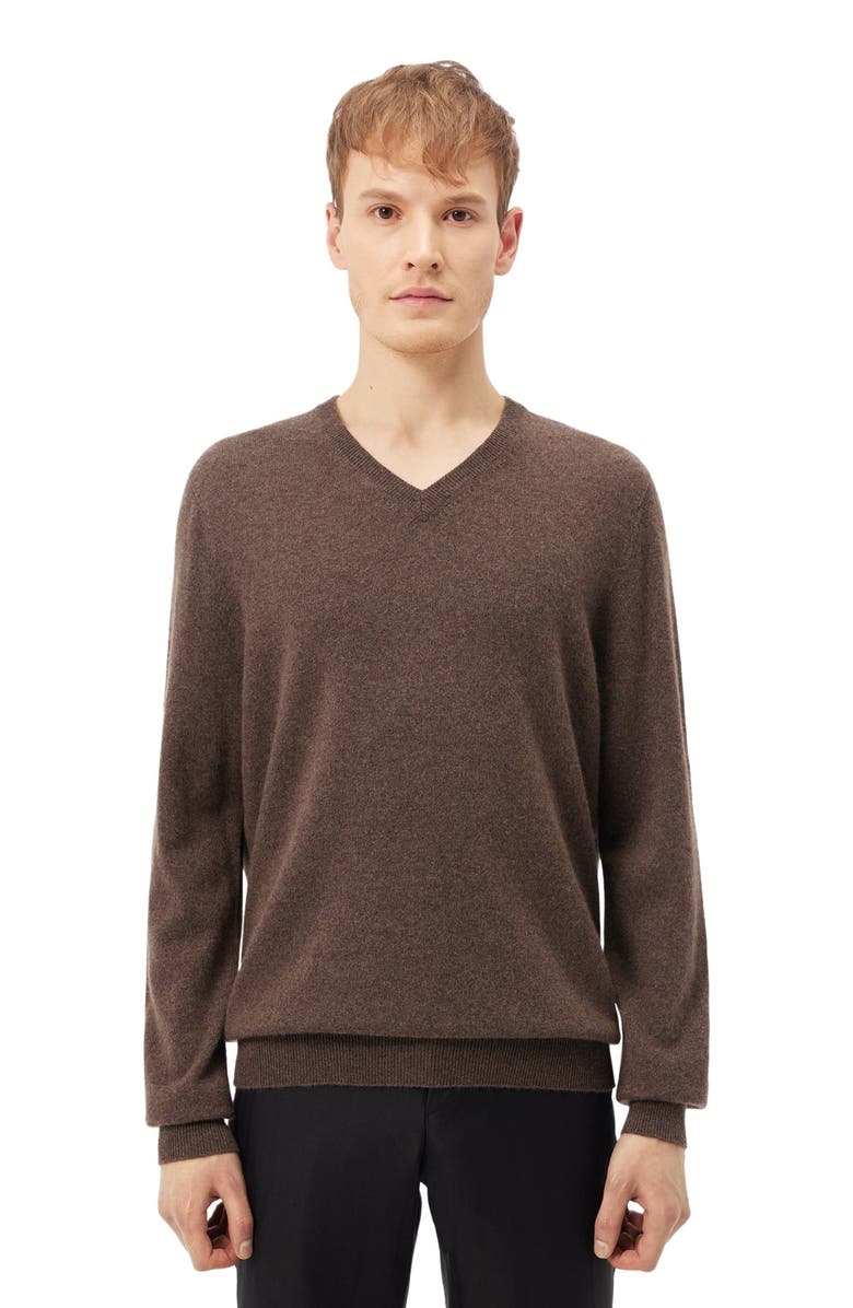 GOBI Mongolian Cashmere Essential V-Neck Cashmere Sweater, Alternate, color, Cocoa