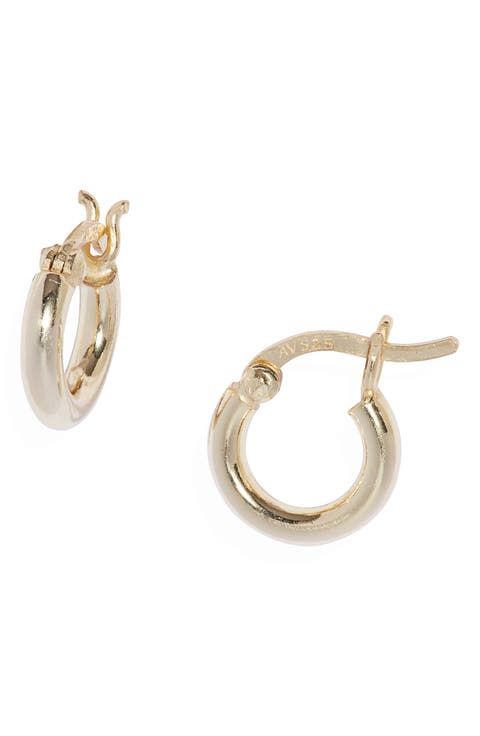Small Hoop Earrings