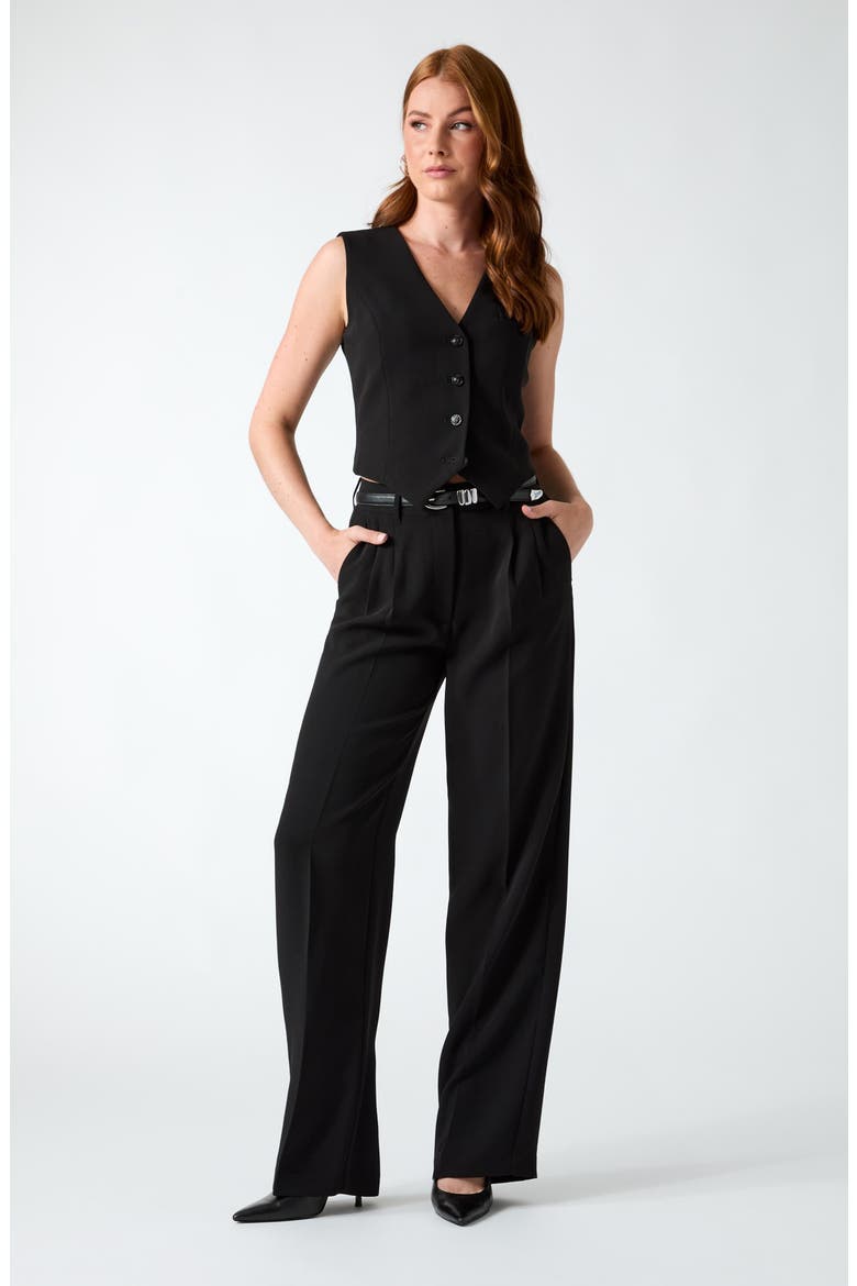 Theoline Perfect Wide Leg Pants, Alternate, color, JBLACK-BLACK