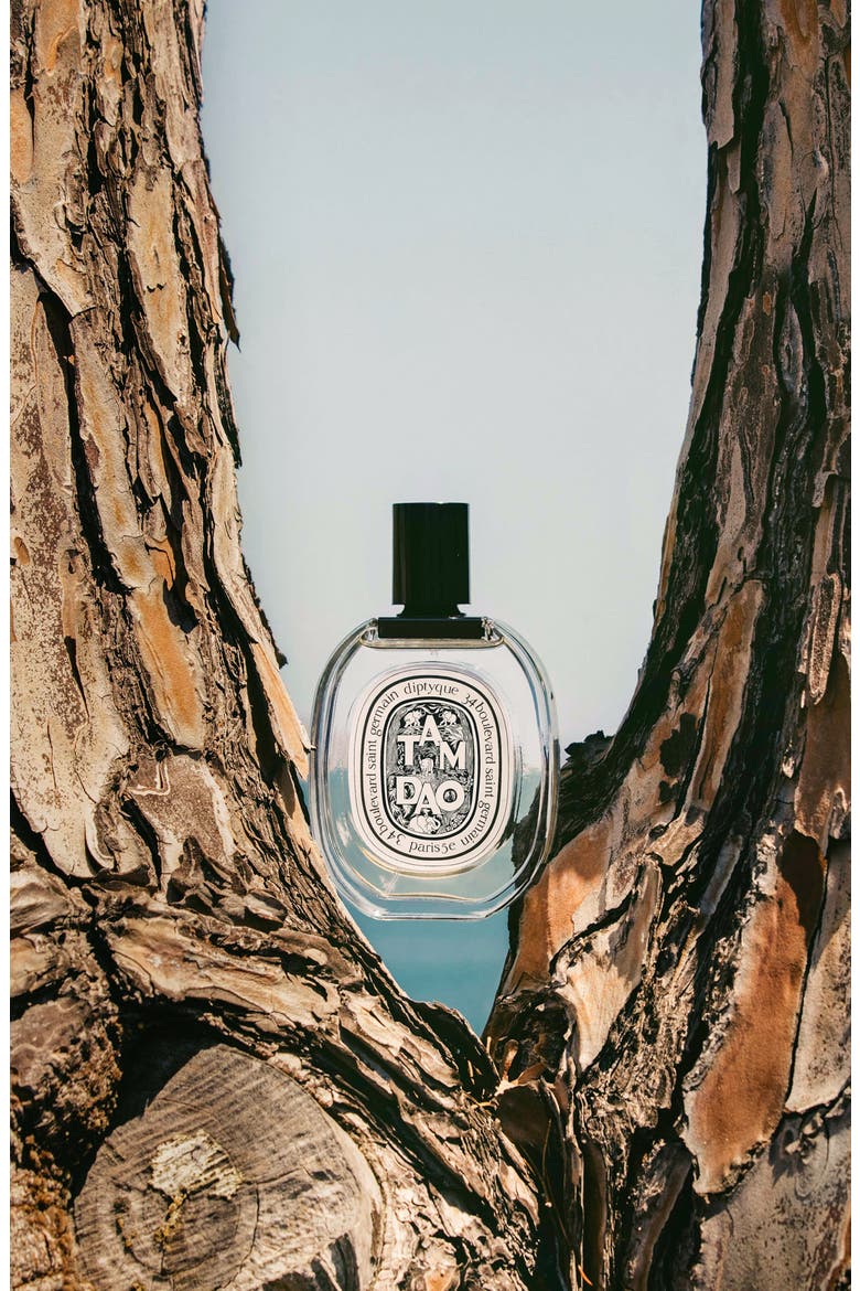 Tam Dao Eau de Toilette, Alternate, color, NO COLOR