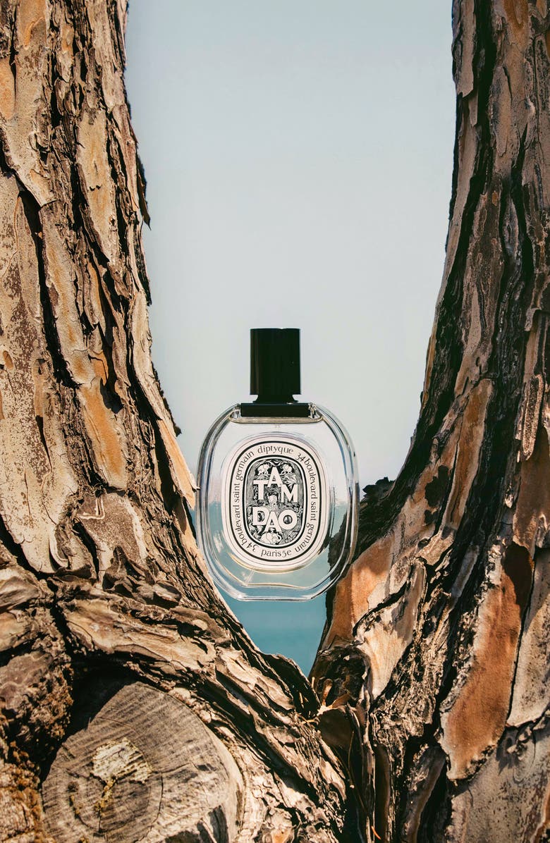 Diptyque Tam Dao Eau de Toilette, Alternate, color, 