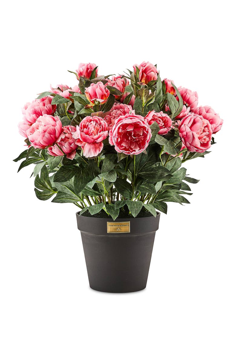 Pink Peony Urn Filler, Main, color, PINK