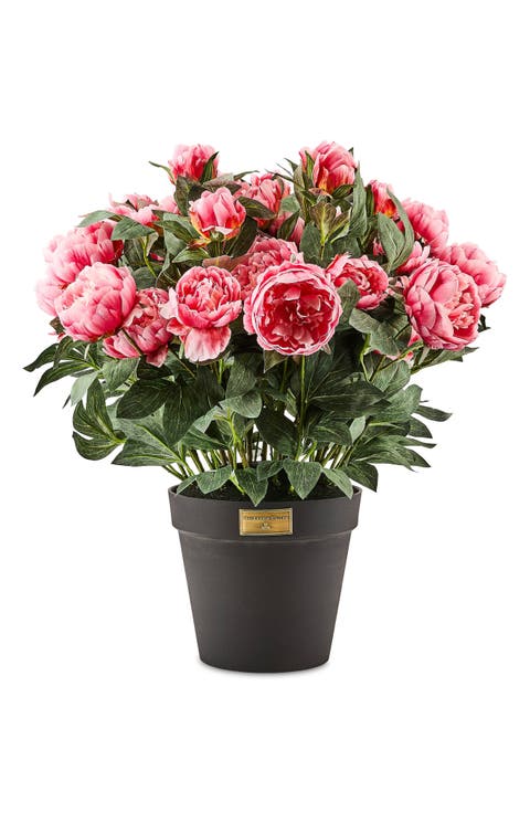 Pink Peony Urn Filler