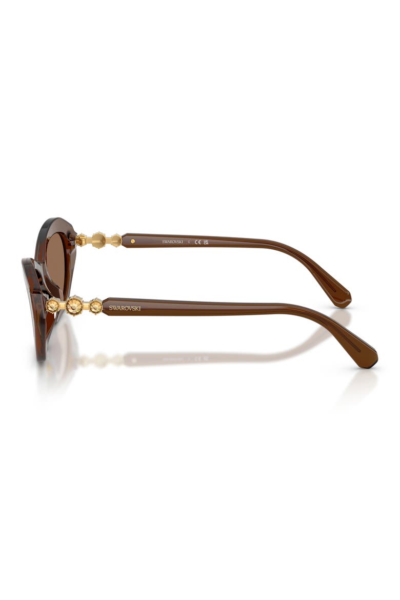 54mm Cat Eye Sunglasses, Alternate, color, TRANSPARENT BROWN / DARK BROWN