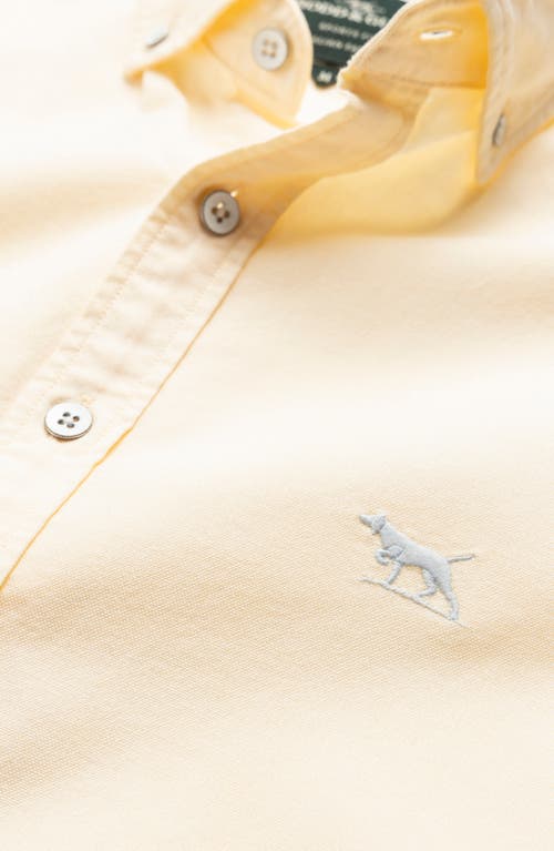 Rodd & Gunn Gunn Oxford Sports Fit Shirt In Yellow