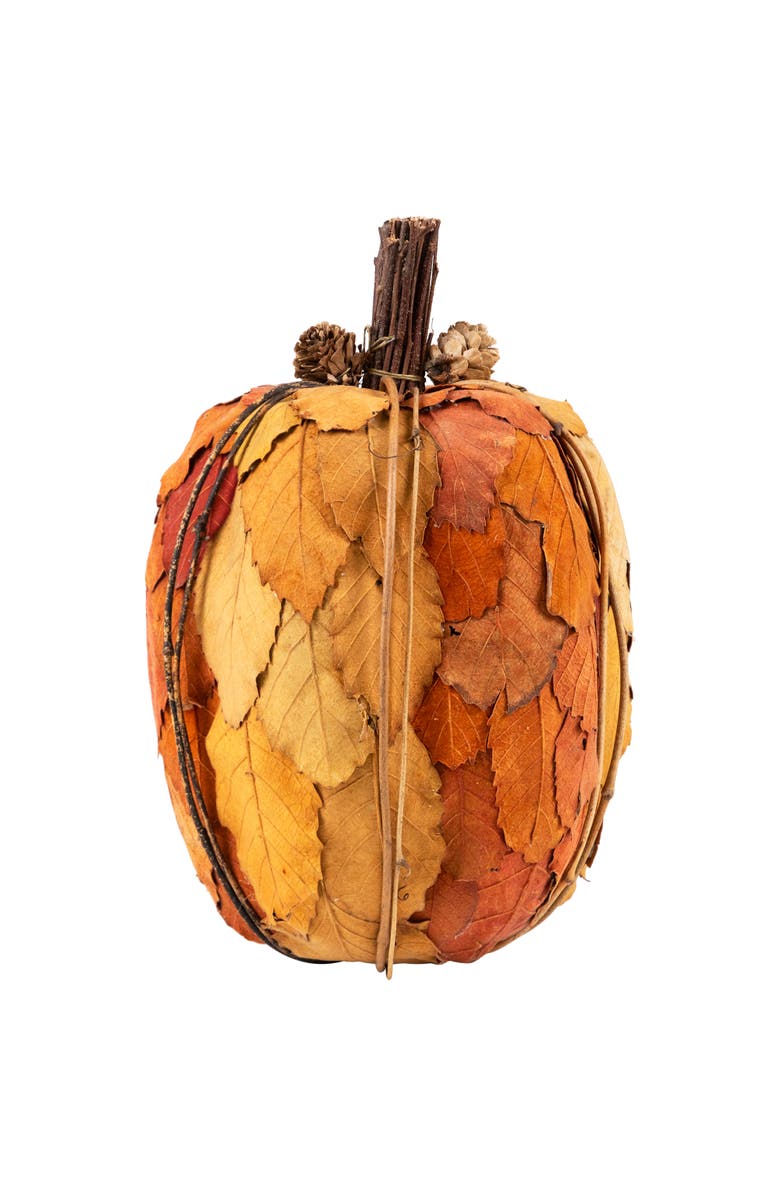 Northlight Artificial Leaves Layered Pumpkin with Pinecones Fall Harvest Decoration - 9.75", Main, color,