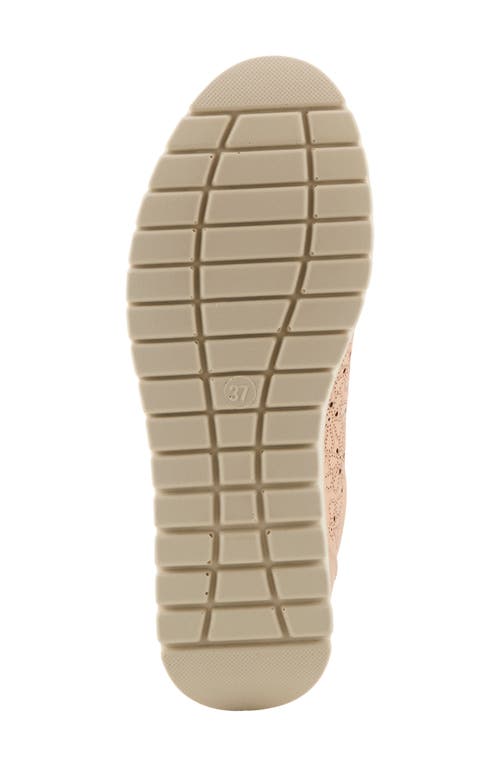 Flexus By Spring Step Rayfield Sneaker