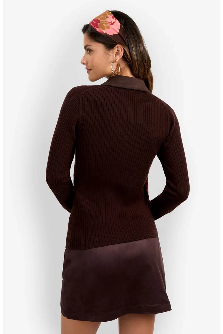 Rita Long Sleeve Polo, Alternate, color, Cioccolato