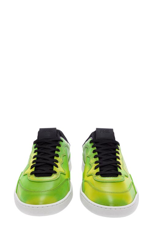 P448 Yam Skate Sneaker