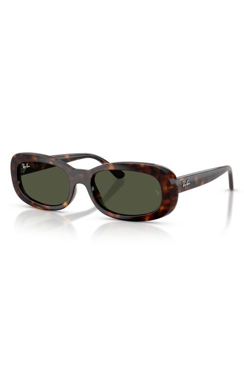 Ray Ban Ray-ban 56mm Oval Sunglasses In Brown