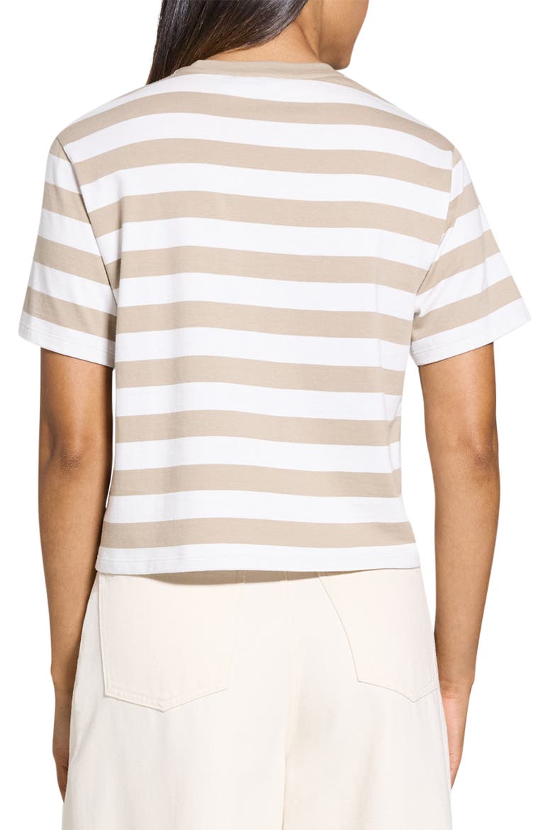 Stripe Cotton T-Shirt, Alternate, color, TAUPE MULTI