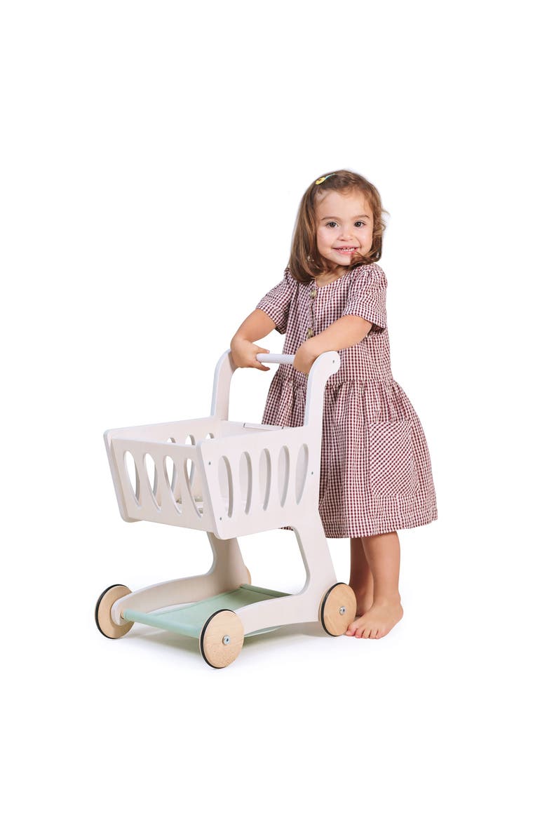 Tender Leaf Toys Wooden Play Shopping Cart, Alternate, color, Multi