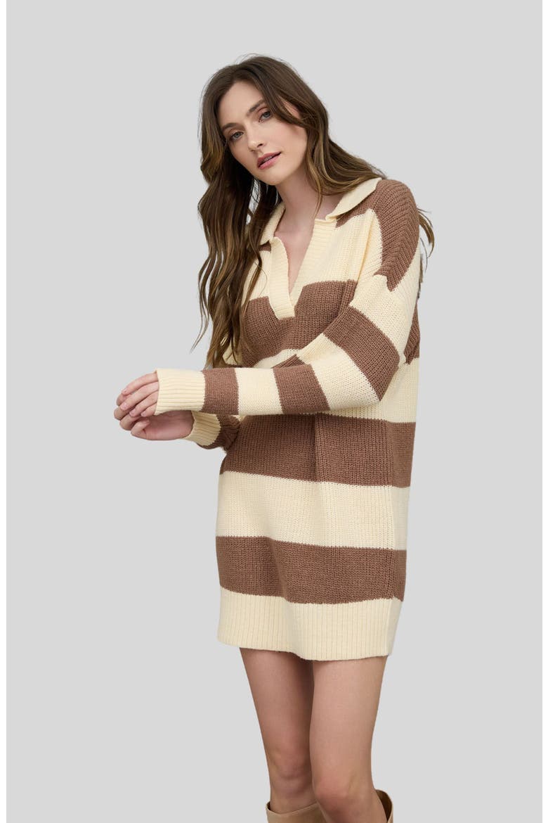 Stripe Long Sleeve Sweater Dress, Alternate, color, BROWN