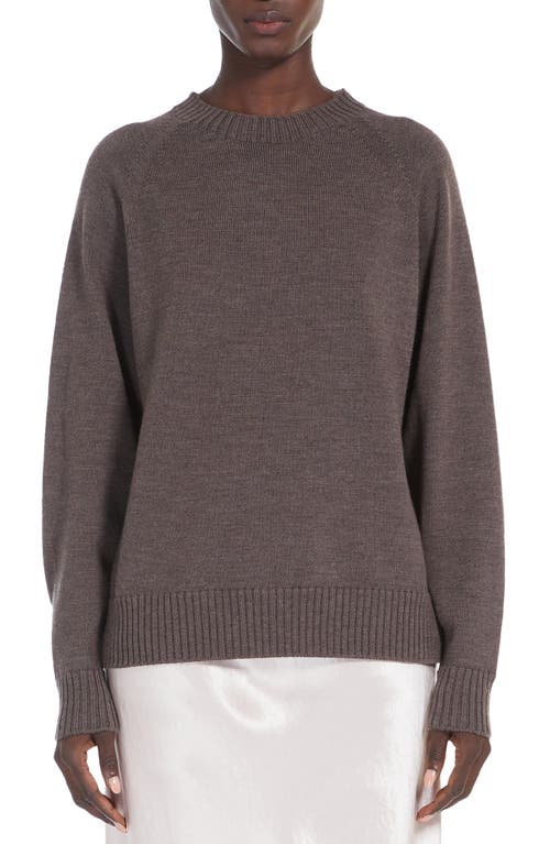 Max Mara Leisure Salvia Raglan Sleeve Wool Crewneck in Hazelnut Brown 